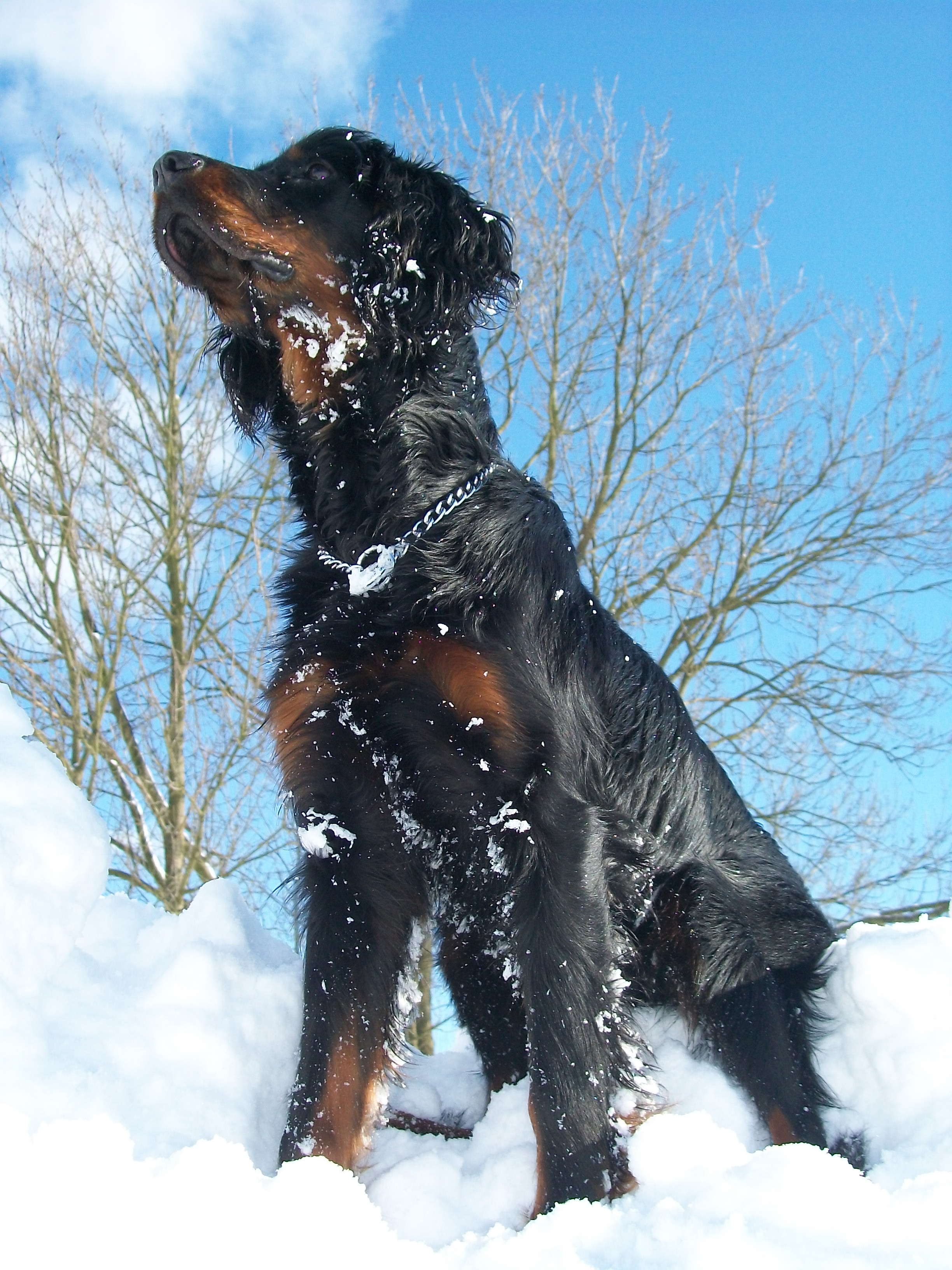 camy2121 (131).jpg