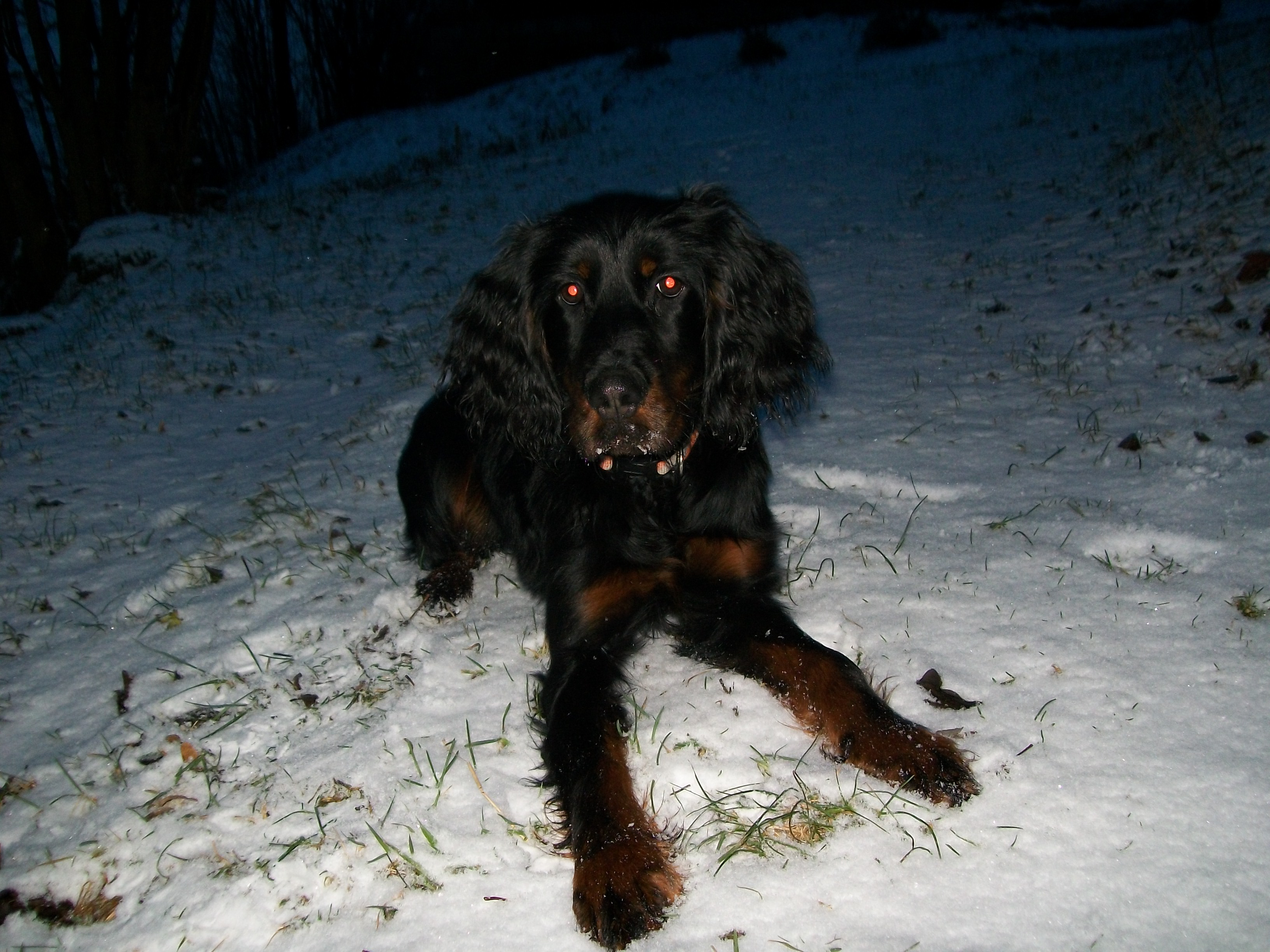 Snímek 054.jpg