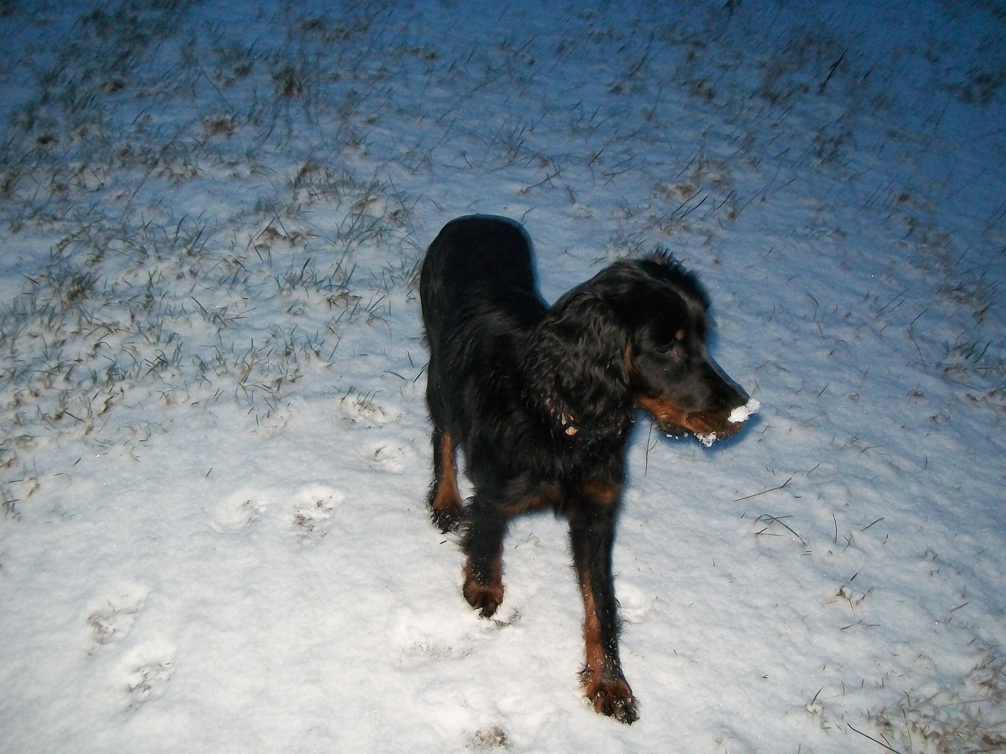 Snímek 060.jpg
