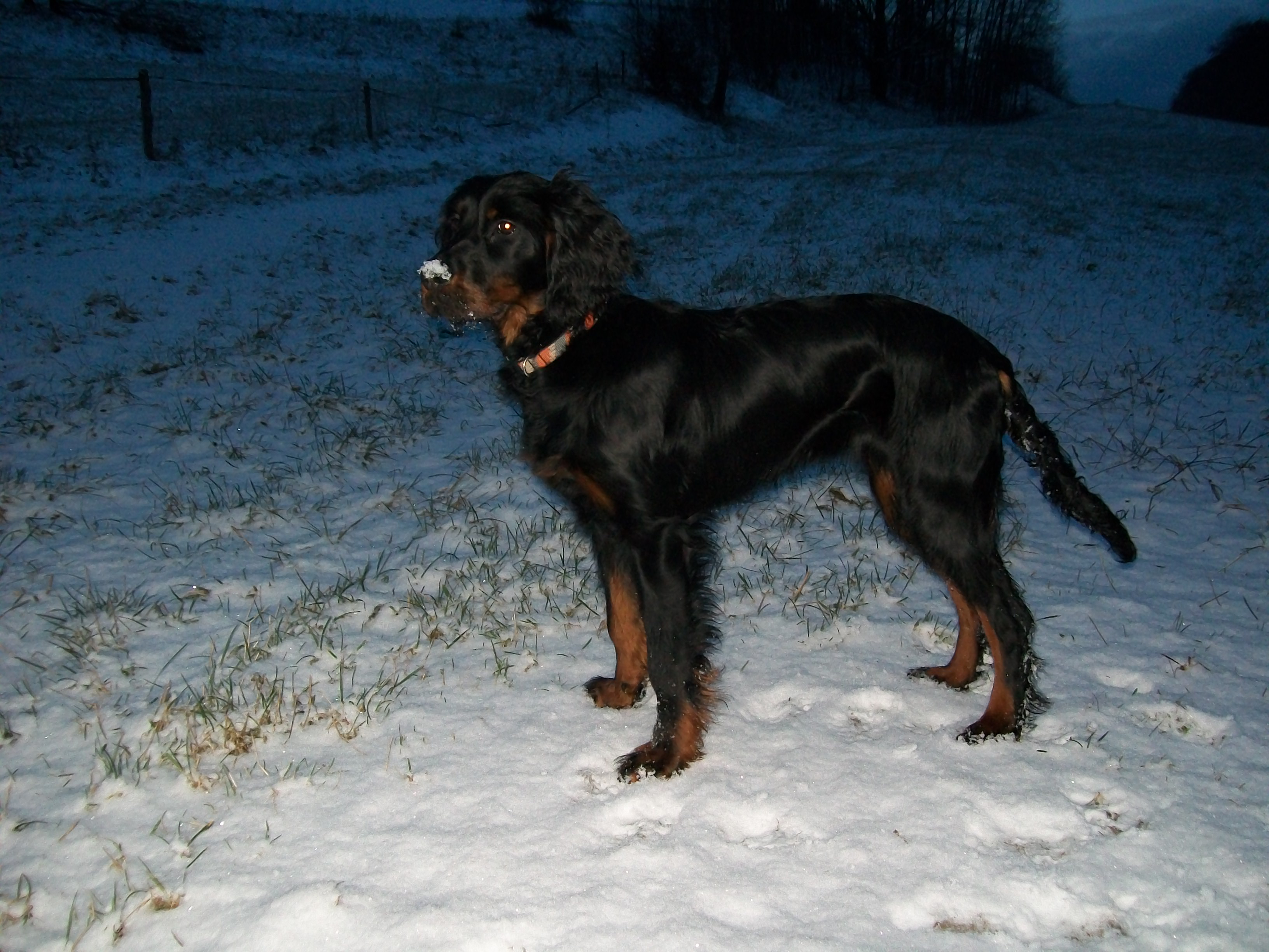 Snímek 062.jpg