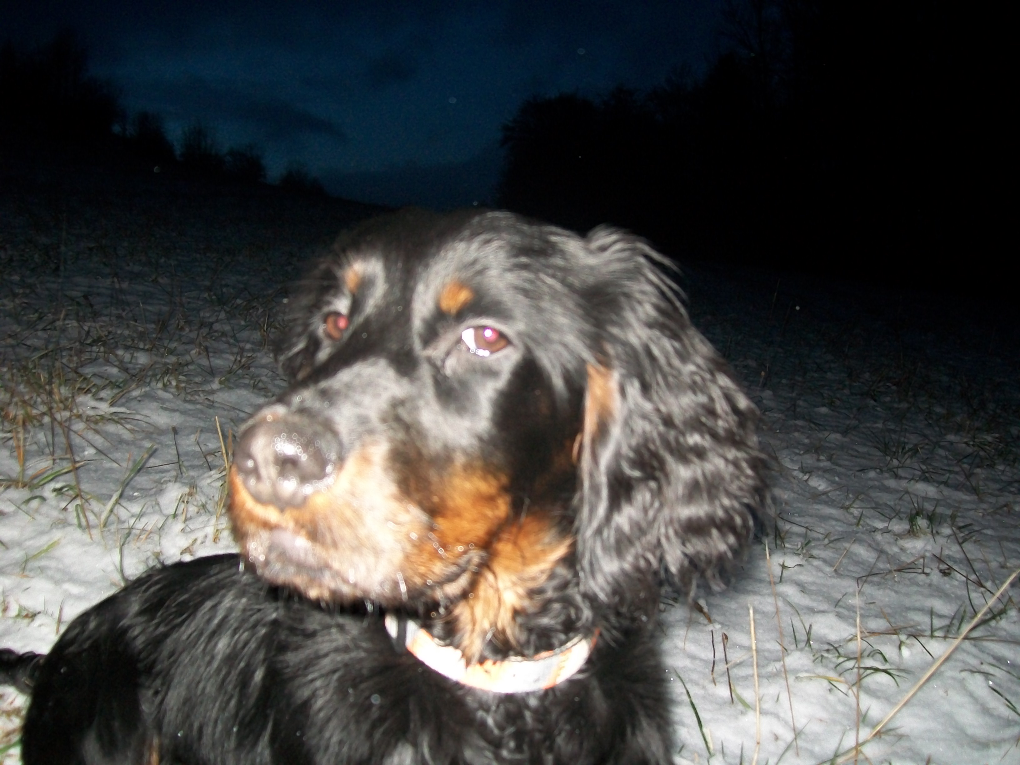 Snímek 096.jpg