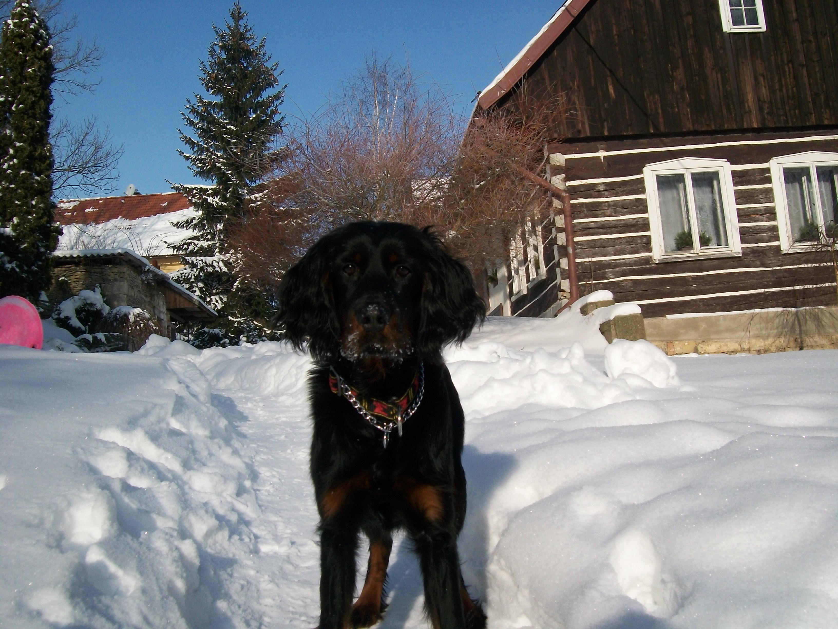 Snímek 033.jpg