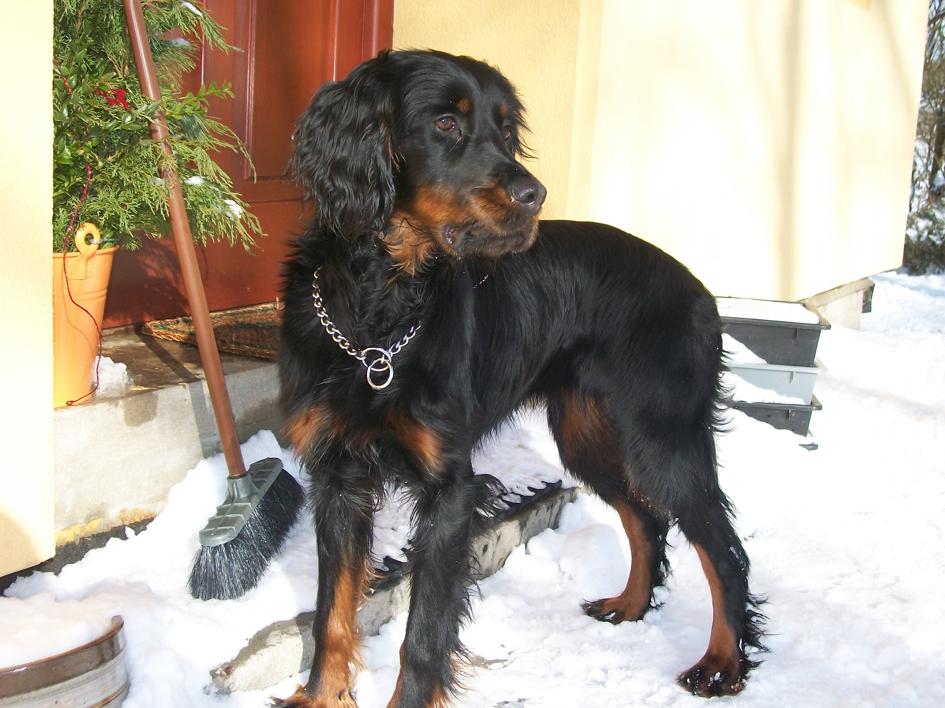 camy2121 (136).jpg